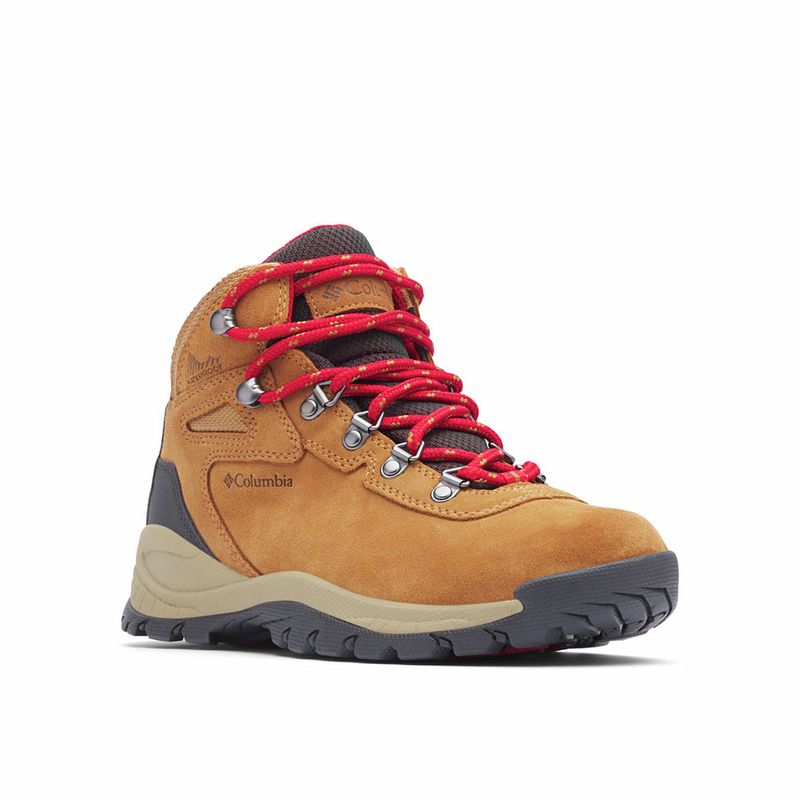 Payless newton shop